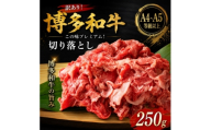 訳あり!＜A4～A5＞この味プレミアム!博多和牛切り落とし　250g(大野城市)【1750480】