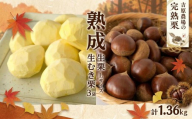 【先行受付】 熟成 生栗 生むき栗 セット 選べる 大きさ 生栗 1kg Lサイズ 生むき栗 3袋 令和8年産 完熟 栗 くり クリ 栗ごはん 贈答 ギフト 果物 フルーツ 2026年度産 国産 生ぐり なまぐり 和栗 わぐり 秋の味覚 マロン 生くり 甘栗 焼き栗 ゆでぐり 料理 和菓子 炊き込みご飯 ごはん 栗きんとん 旬 秋 冬 正月 おせち 茨城県 筑西市 関東