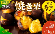 【先行受付】 栗 焼き栗 5袋 大粒 令和8年産 完熟 栗 くり クリ kuri / 栗ごはん 栗スイーツ 2026年度産 国産 味覚 焼きぐり やきぐり 和栗 わぐり 先行受付 秋の味覚 マロン 生くり 甘栗 焼き栗 ゆでぐり 料理 和菓子 炊き込みご飯 ごはん 栗きんとん 数量限定 贈答 ギフト 数量限定 旬 秋 冬 正月 おせち 茨城県 筑西市 関東