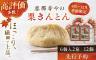 【先行予約】【着日指定可】【10月下旬から順次発送】恵那寿やの栗きんとん 計12個（6個入 × 2箱）/ 栗きんとん くりきんとん 和菓子 栗菓子 栗 くり スイーツ 和スイーツ 秋 限定 銘菓 名物 老舗 高級 季節限定 ご当地 ご褒美 お茶請け お茶菓子 お取り寄せ ギフト 岐阜県/恵那市/恵那寿や〈配送不可地域：北海道・青森・秋田・長崎・宮崎・鹿児島・沖縄・離島〉[AUAS008-10B]