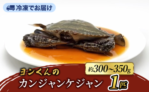 ヨンくんのカンジャンケジャン1匹 ワタリガニ カニ 韓国料理 静岡県 袋井市 2690264 - 静岡県袋井市