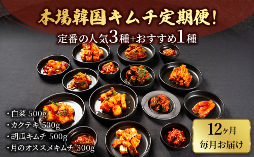 本場韓国キムチ定期便！ 12ヵ月 定番の人気3種+おすすめ1種 キムチ おつまみ 韓国食材 韓国料理 静岡県 袋井市 2690272 - 静岡県袋井市