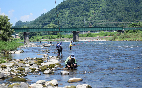 遊漁年券A2あゆ　竿釣（コロガケ、ルアー、餌、毛鉤釣りのみ）（但し魚沼漁業協同組合の範囲内に限ります） 2690326 - 新潟県魚沼市