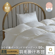 【クイーン】【プレミアムゴールドラベル】コウダ種ポーランドマザーグース95％羽毛掛け布団【新津】｜掛け布団