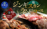 【12ヶ月定期便】塩ジンギスカン500g×2 ラム肩ロース500g×2 セット 【 ふるさと納税 人気 おすすめ ランキング 室蘭 塩ジンギスカン 味付けジンギスカン ジンギスカン 塩 味付け タレ ラム 生ラム 羊 肩ロース 肉 焼肉 BBQ 大容量 詰合せ 贈り物 定期便 北海道 室蘭市 送料無料 】 MROA279