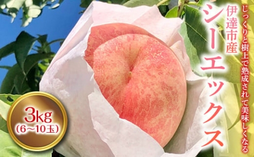 《先行予約》 シーエックス 3kg （6～10玉） 桃 もも モモ 新品種 果物 フルーツ ふるさと納税 予約 福島県 伊達市 F20C-444