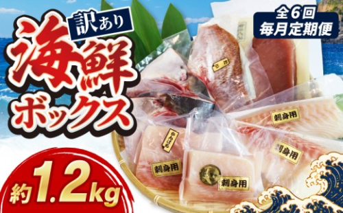 【訳あり】 毎月定期便 全6回 訳あり 海鮮 ボックス 1.2kg セット 冷凍 真空パック おまかせ マグロ まぐろ 鮪 生まぐろ 鯛 たい かんぱち 勘八 シマアジ ヒラマサ 平昌 新鮮 魚 魚介 海鮮 海産物 海 特産品 海の幸 産地直送 国産 三重県 南伊勢 伊勢 志摩 城水産  2690686 - 三重県南伊勢町