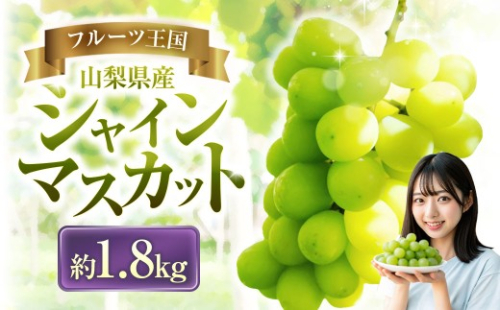 シャインマスカット 約1.8kg マスカット ぶどう ブドウ 葡萄 くだもの 果物 フルーツ 種なし 山梨県 中央市 送料無料 【2026年8月下旬-10月下旬発送予定】 2691310 - 山梨県中央市