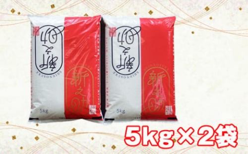 No.282 加茂産新之助　5kg×2袋 ／ お米 大粒 新潟県 特産品