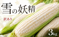 【 訳あり 】 とうもろこし 白いとうもろこし 雪の妖精 約 3kg 先行予約 数量限定 希少 コーン フルーツ 高糖度 サイズ不揃い 甘い 白い 朝採れ 産地直送 産直 冷蔵 国産 千葉県産 銚子産 新鮮 野菜 夏野菜 旬 夏野菜 toumorokosi とうきび なんばん BBQ バーベキュー お取り寄せ 季節限定 銚子 ふるさと納税トウモロコシ 送料無料 ふるさと納税 千葉県 銚子市 孝農園