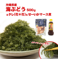 南城市産海ぶどう500g I  海ぶどう 沖縄海ぶどう 海藻 ぷちぷち食感  沖縄県 南城市 ふるさと納税 一般社団法人 南城市観光協会 南城市地域物産館
