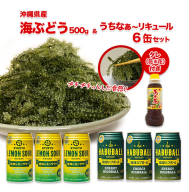 海ぶどう500g＆リキュール6缶セット I  海ぶどう 沖縄海ぶどう 海藻 ぷちぷち食感  沖縄県 南城市 ふるさと納税 一般社団法人 南城市観光協会 南城市地域物産館