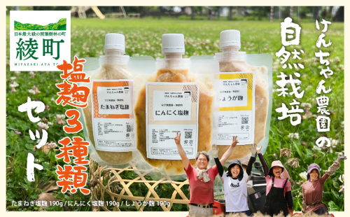 けんちゃん農園 塩麹 3種 腸活 セット_A0088-007 2691822 - 宮崎県綾町