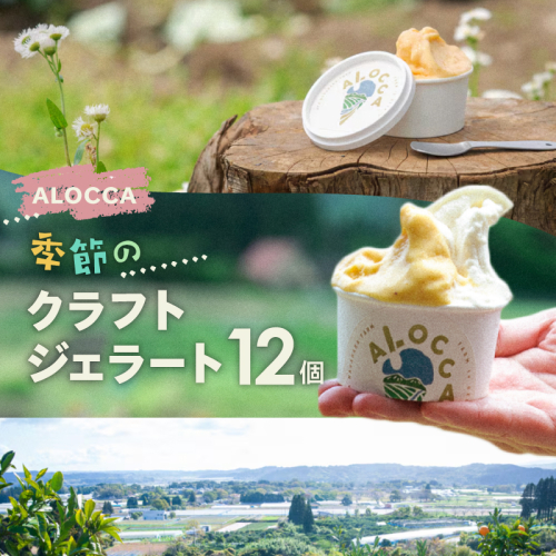 日時指定可能◎オーガニックタウン綾町から届く、季節のクラフトジェラート〈12個セット〉_A0093-003 2691825 - 宮崎県綾町
