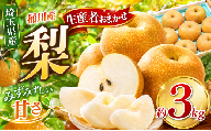 梨 [先行予約]桶川産の梨 3kg 6玉〜9玉 | 幸水 豊水 彩玉 新高 あきづき 和梨 日本梨 フルーツ 果物 旬の果物 生産者おまかせ 旬の梨 みずみずしい 詰め合わせ 贈答 プレゼント ギフト 常温便 産地直送 農家直送 桶川市梨出荷組合 埼玉県 桶川市