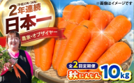 【先行予約】【2026年12月順次発送開始】【全2回定期便】秋にんじん10kg / にんじん ニンジン 野菜 β-カロテン 食物繊維 抗酸化作用 栄養満点 熊本県産 菊陽町　【株式会社 まゆみ農園】 [BHCW011]
