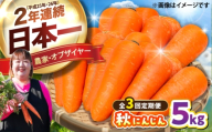 【先行予約】【2026年12月順次発送開始】【全3回定期便】秋にんじん5kg / にんじん ニンジン 野菜 β-カロテン 食物繊維 抗酸化作用 栄養満点 熊本県産 菊陽町　【株式会社 まゆみ農園】 [BHCW017]