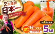 【先行予約】【2026年12月順次発送開始】【全3回定期便】ジュース用秋にんじん5kg (訳あり) / にんじん ニンジン 規格外 ジュース β-カロテン 食物繊維 抗酸化作用 熊本県産 菊陽町 【株式会社 まゆみ農園】 [BHCW020]
