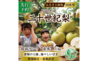 【2026年8月下旬より発送】三ツ田農園 二十世紀梨 (赤秀)ギフト用3kg