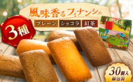 フィナンシェ レモンさんのおうち 30個入り / 洋菓子 焼菓子 レモン 個包装 恵那市 / 銀の森 [AUBG072]