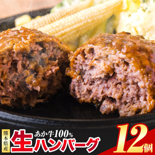 熊本県産あか牛100%生ハンバーグ 140g×12個 《30日以内に出荷予定(土日祝除く)》熊本県産あか牛 冷凍 2692404 - 熊本県津奈木町