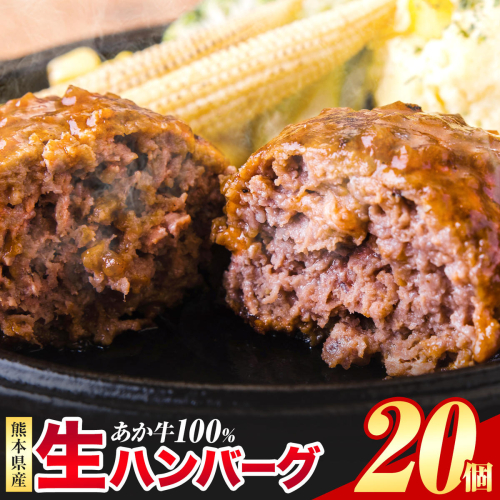  熊本県産あか牛100%生ハンバーグ 140g×20個 《30日以内に出荷予定(土日祝除く)》熊本県産あか牛 冷凍 2692405 - 熊本県津奈木町