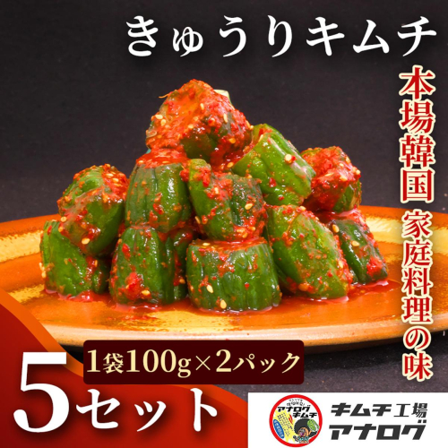 熟成秘伝のオイ(きゅうり)キムチ(100g×10パック)【きゅうりキムチ 発酵キムチ 本格キムチ 国産手作り ご飯のお供 国産きゅうり 九州産 旨辛 特製ダレ】(H104197) 2692406 - 佐賀県神埼市