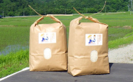 [R8新米予約]あきたこまち 5kg × 2袋 計10kg お米 米 こめ コメ 白米 白飯 飯 ご飯 おにぎり 国産 秋田県産 ブランド米 [ 2026年10月上旬から2027年1月下旬発送予定 ]
