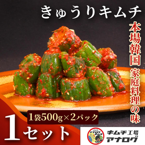 熟成秘伝のオイ(きゅうり)キムチ(500g×2パック)【きゅうりキムチ 発酵キムチ 本格キムチ 国産手作り ご飯のお供 国産きゅうり 九州産 旨辛 特製ダレ】(H104207) 2692617 - 佐賀県神埼市
