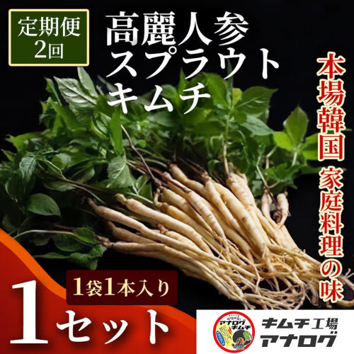 【2カ月定期便】熟成秘伝の高麗人参スプラウトキムチ(1本入り×1袋)【エナキム 健美キムチ 健康志向 熟成キムチ ご飯のお供 発酵食品 手作り 辛味控えめ 国産素材】(H104183) 2692631 - 佐賀県神埼市