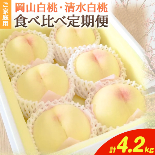 【2026年先行予約】【定期】桃 岡山白桃 清水白桃 ご家庭用 食べ比べ定期便 3回 1.4kg (4～6玉) 計4.2kg フルーツファーム岡山《2026年6月下旬-8月下旬頃出荷》岡山県 浅口市 送料無料 フルーツ モモ 果物 青果 旬 国産 岡山県産【配送不可地域あり】 2692675 - 岡山県浅口市