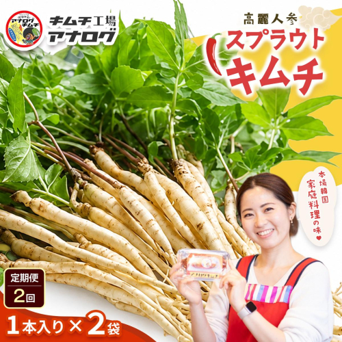 【2カ月定期便】熟成秘伝の高麗人参スプラウトキムチ(1本入り×2袋)【エナキム 健美キムチ 健康志向 熟成キムチ ご飯のお供 発酵食品 手作り 辛味控えめ 国産素材】(H104188) 2692683 - 佐賀県神埼市