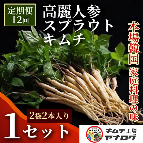 【12カ月定期便】熟成秘伝の高麗人参スプラウトキムチ(1本入り×2袋)【エナキム 健美キムチ 健康志向 熟成キムチ ご飯のお供 発酵食品 手作り 辛味控えめ 国産素材】(H104190) 2692694 - 佐賀県神埼市