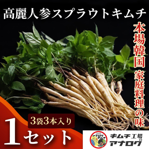 熟成秘伝の高麗人参スプラウトキムチ(1本入り×3袋)【エナキム 健美キムチ 健康志向 熟成キムチ ご飯のお供 発酵食品 手作り 辛味控えめ 国産素材】(H104191) 2692697 - 佐賀県神埼市