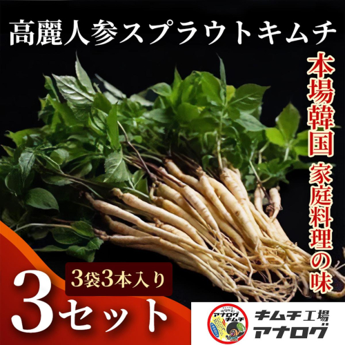 熟成秘伝の高麗人参スプラウトキムチ(1本入り×9袋)【エナキム 健美キムチ 健康志向 熟成キムチ ご飯のお供 発酵食品 手作り 辛味控えめ 国産素材】(H104192) 2692699 - 佐賀県神埼市