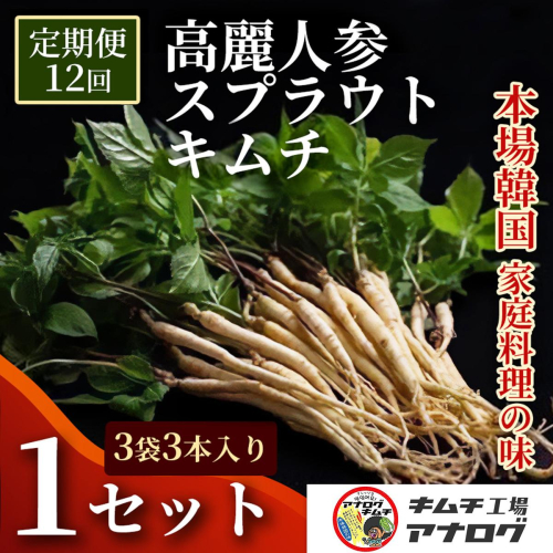 【12カ月定期便】熟成秘伝の高麗人参スプラウトキムチ(1本入り×3袋)【エナキム 健美キムチ 健康志向 熟成キムチ ご飯のお供 発酵食品 手作り 辛味控えめ 国産素材】(H104195) 2692706 - 佐賀県神埼市