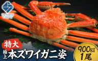極上！特大本ズワイ蟹の姿　本ズワイ蟹　900g　1尾 | カニ ずわいガニ 海鮮 北海道 札幌市