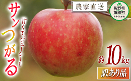 【ふるさと納税】りんご サンつがる 訳あり 10kg 関農園 沖縄県への配送不可 2024年8月下旬頃から2024年9月中旬頃まで順次発送予定 エコ