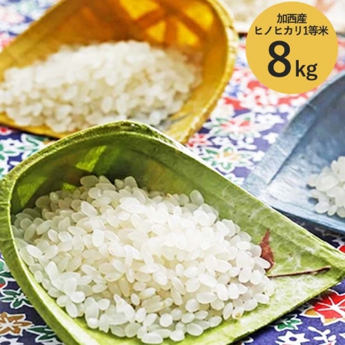 米 令和5年産 加西産 ヒノヒカリ 1等米 8kg（白米） 26956 - 兵庫県加西市