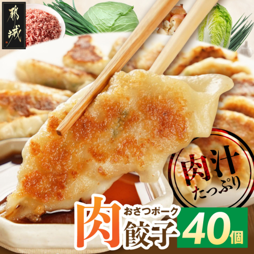 「おさつポーク」使用!肉汁あふれる肉餃子40個_LF-14-001-40 2696327 - 宮崎県都城市