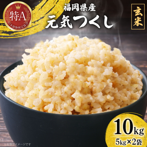 米 令和7年 玄米 元気つくし 5kg 2袋 計 10kg [ベネフィス 福岡県 宇美町 um40azp190012] 令和7年産 お米 ご飯 コメ ごはん 2696360 - 福岡県宇美町