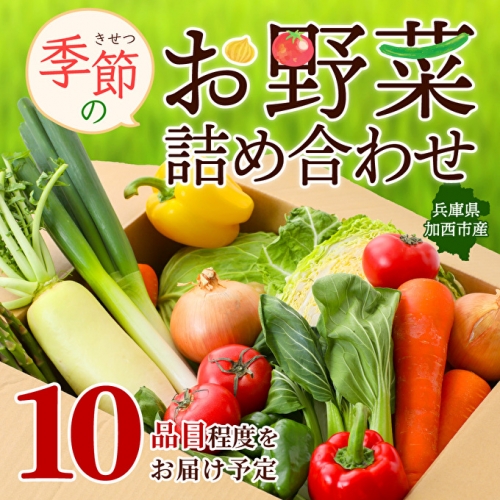 野菜セット 加西市産 季節の野菜詰め合わせセット 季節の野菜10品程度 26963 - 兵庫県加西市