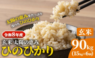 【令和8年産】 岡山県産 ひのひかり 笠岡産 15kg×6回（計90kg） 太陽の恵み （玄米） st-p