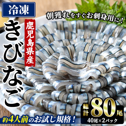 鹿児島県産！阿久根のきびなごお刺身セット (計80尾/40尾×2パック) 魚介類 冷凍 海鮮 魚 きびなご キビナゴ 刺身 さしみ 刺し身 青魚 子魚 小分け 阿久根市産 国産 定期便 お試し 【椎木水産】akn054-16 2696553 - 鹿児島県阿久根市