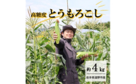 ＜先行予約＞菊池一真の とうもろこし ゴールドラッシュ 約4kg ＜2026年7月下旬～発送＞【1579764】