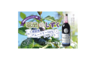 砥森のしずくブルーベリージュース 果汁100% 720ml×2本 岩手県遠野市 遠野食工房蔵【1583507】