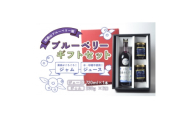 ブルーベリー ジュース&ジャム ギフトセット 岩手県遠野市 遠野食工房蔵【1583508】