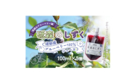砥森のしずく ブルーベリージュース 果汁100% 100ml×5個 岩手県遠野市 遠野食工房【1583560】