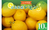 【先行受付】【2026年11月～発送】上神農園 の 広島県産 レモン 約10kg ku011-043-26