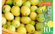 【先行受付】【2026年11月～発送】上神農園 家庭用 広島産 レモン 約10kg ku011-044-26